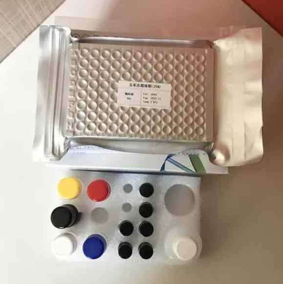 人胰岛素受体(INSR)Elisa试剂盒,Human INSR(Insulin Receptor) ELISA Kit