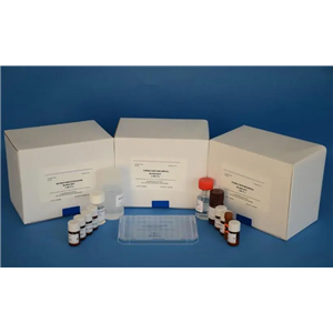 人纤维蛋白原γ(FGγ)Elisa试剂盒