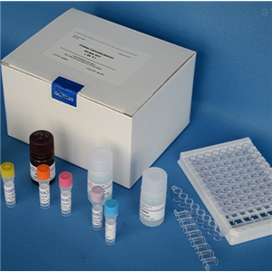 人血管紧张素Ⅱ(Ang-Ⅱ)Elisa试剂盒