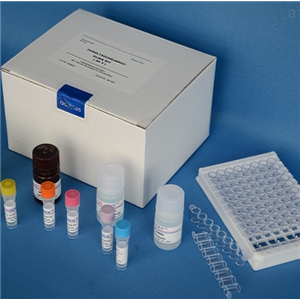 人白介素5（IL-5）Elisa試劑盒,Human IL-5(Interleukin 5) ELISA Kit