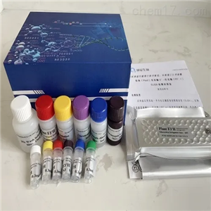 人基质金属蛋白酶抑制因子1（TIMP-1）Elisa试剂盒