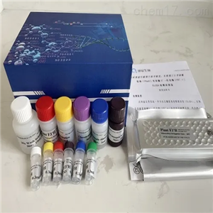 人骨成型蛋白7(BMP-7)Elisa试剂盒,Human BMP-7 ELISA Kit