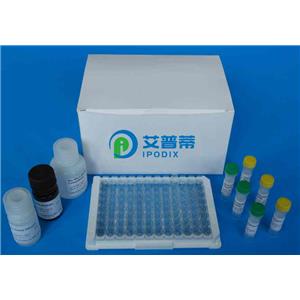 人糖链抗原19-9(CA19-9)Elisa试剂盒,Human CA19-9(Carbohydrate antigen19-9) ELISA Kit