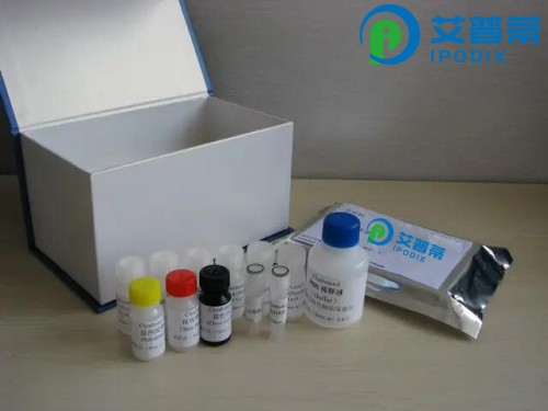 人内皮型一氧化氮合酶(NOS3/eNOS)Elisa试剂盒,Human NOS3/eNOS(Nitric Oxide Synthase 3, Endothelial) ELISA Kit