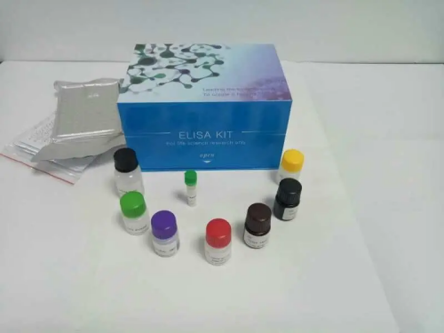 人激活素B（ACV-B）Elisa試劑盒,Human ACVB(Activin B) ELISA Kit