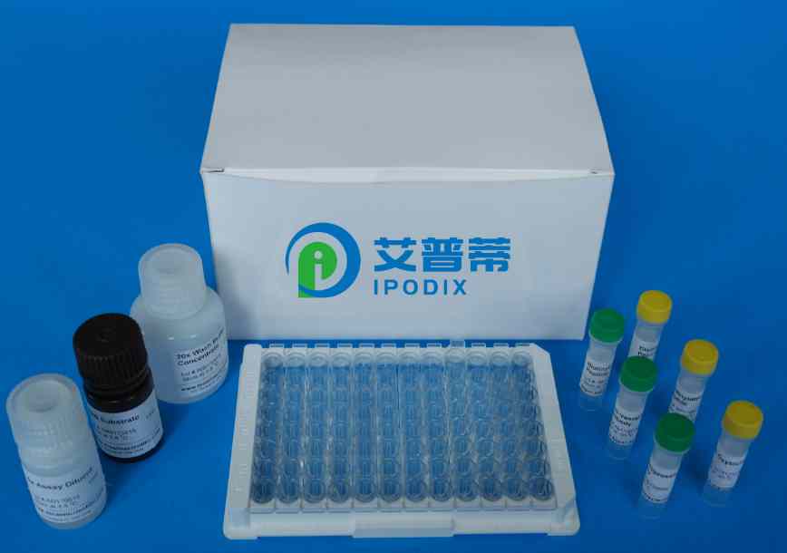 鸡白细胞介素8（IL-8）Elisa试剂盒,Chicken Interleukin 8 (IL8)
