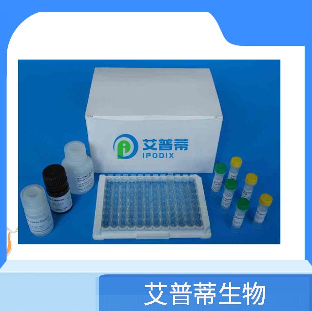 雞白細(xì)胞介素1β（IL-1β）Elisa試劑盒,Chicken Interleukin 1 Beta (IL1b)