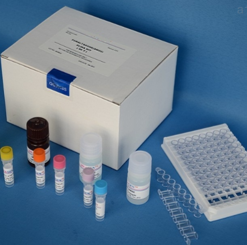 人组织蛋白酶B(CTSB)Elisa试剂盒,Human CTSB(Cathepsin B) ELISA Kit