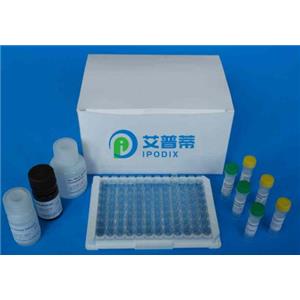 人肿瘤蛋白P53(TP53)Elisa试剂盒