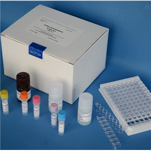 人β-骨胶原交联（β-CTx）Elisa试剂盒,Human β-CTx(Beta Crosslaps) ELISA Kit