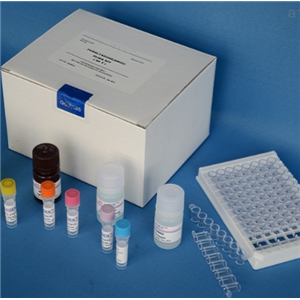 人白介素2受体α链（IL-2Rα/CD25）Elisa试剂盒