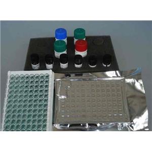 人可溶性CD14（sCD14）Elisa试剂盒