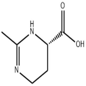 依克多因,Ectoine