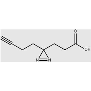 3-(3-(丁-3-炔-1-基)-3H-二氮杂萘-3-基)丙酸