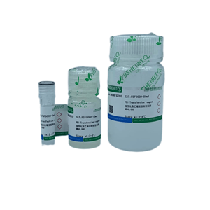 线性化聚乙烯亚胺MW40000,Polyethylenimine, Linear MW40000