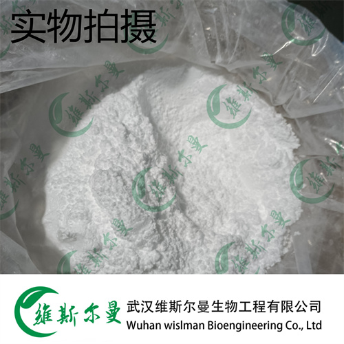 氨苄青霉素,Ampicillin