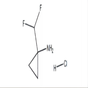 1-二氟甲基環(huán)丙烷-1-胺鹽酸鹽,1-(difluoromethyl)cyclopropan-1-amine hydrochloride