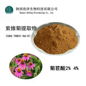 紫锥菊提取物； 紫锥菊多酚,Echinacea extract