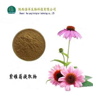 紫锥菊提取物； 紫锥菊多酚,Echinacea extract