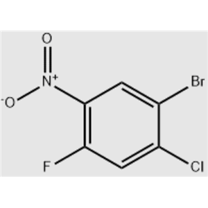 1-溴-2-氯-4-氟-5-硝基苯 111010-08-3