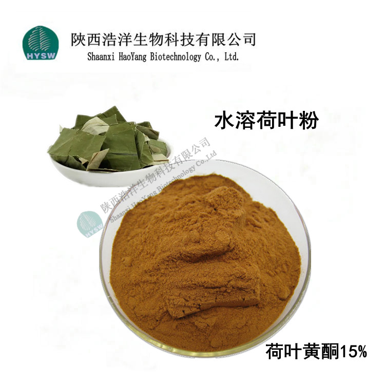 荷叶提取物； 荷叶黄酮；  荷叶碱,Lotus leaf extract