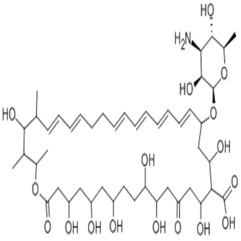 制霉菌素,Nystatin