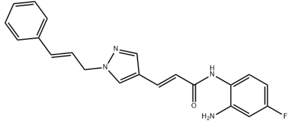 RGFP966,RGFP966