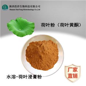 荷叶提取物； 荷叶黄酮；  荷叶碱,Lotus leaf extract