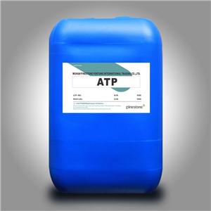 S-羧乙基异硫脲内盐 ATP 杂质容忍剂