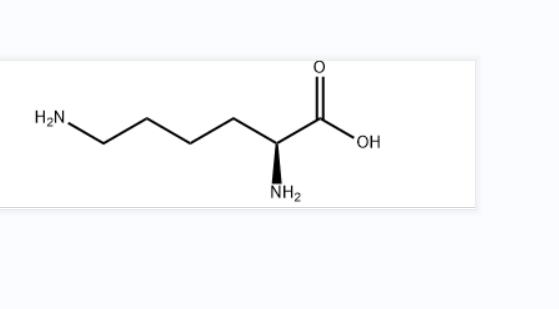 L-赖氨酸,L-Lysine