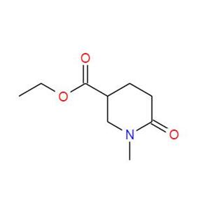 1-甲基-6-氧代哌啶-3-甲酸乙酯