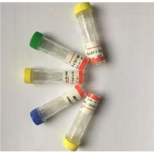 PCSK9 Antibody生产供应商艾普蒂生物