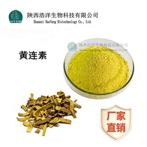 黄连素；盐酸小檗碱,Berberine