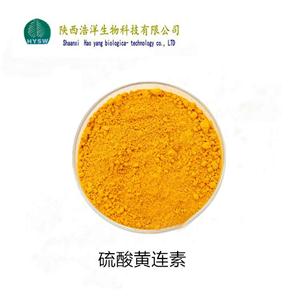 黄连素；盐酸小檗碱,Berberine