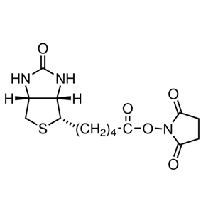 	(+)生物素-N-琥珀酰亚胺基酯35013-72-0