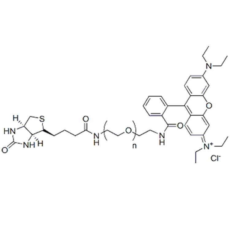 羅丹明-聚乙二醇-生物素,Rhodamine-PEG-Biotin;RB-PEG-Biotin