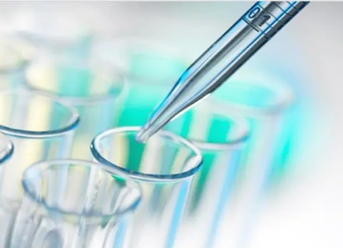 MEKK3 Antibody,MEKK3 Antibody