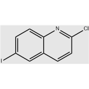 2-氯-6-碘喹啉 124467-20-5