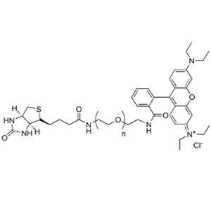 Rhodamine-PEG-Biotin，罗丹明-聚乙二醇-生物素