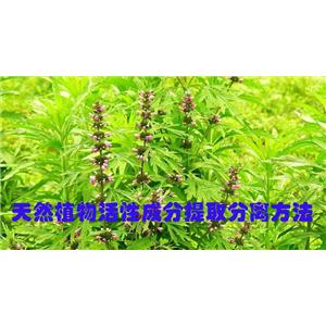 藥植提取技術(shù)服務(wù),Medicinal plant extraction technical service