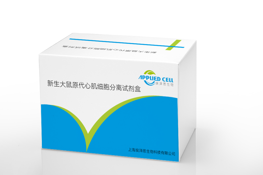 新生大鼠原代心肌細(xì)胞分離試劑盒,Rat Primary Cardiomyocyte Isolation Kit