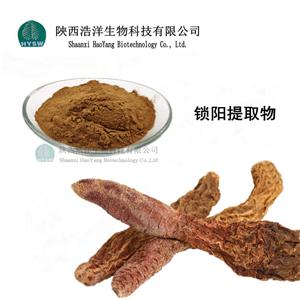 酒溶锁阳粉；锁阳提取物,Cynomorium cynomorium extract