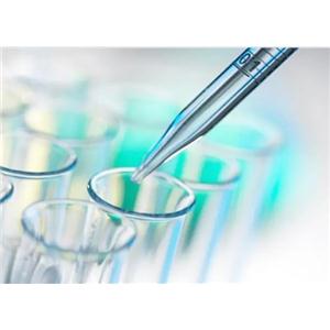 FDPS Antibody生产供应商艾普蒂生物