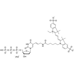 Cy3-dUTP