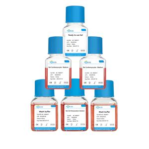 新生大鼠原代心肌細(xì)胞分離試劑盒,Rat Primary Cardiomyocyte Isolation Kit