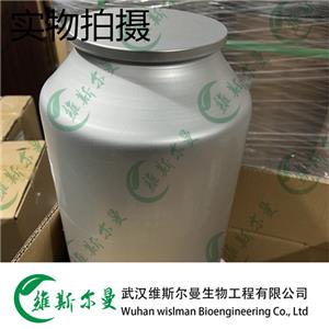 地塞米松磷酸钠 2392-39-4 99%含量 维斯尔曼生物现货 13419635609