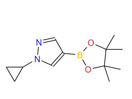 1-环丁基-吡唑-4-频哪醇二硼酸酯