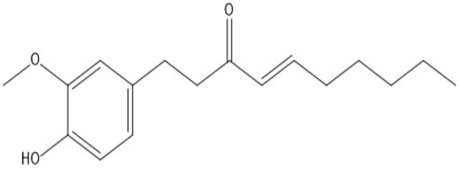 6-Shogaol,6-Shogaol