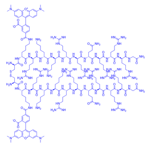 二聚体荧光TAT/DfTat/2035480-78-3/荧光穿膜肽