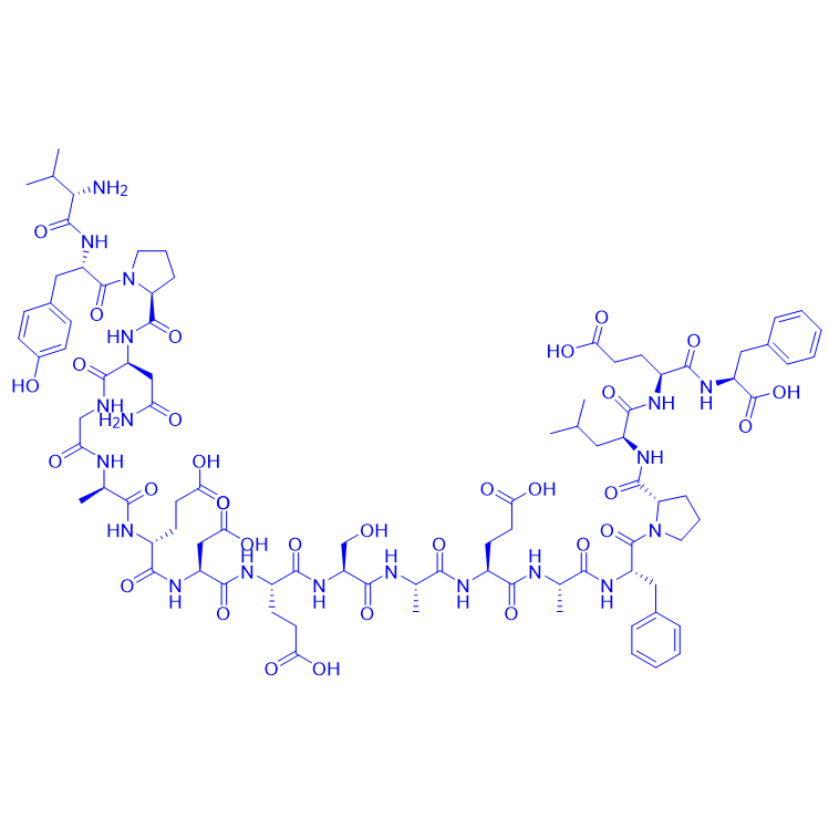 肾上腺皮质激素(22-39),ACTH 22-39